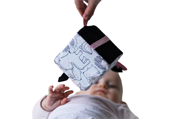 MyMoo Busy Cube - Forest Animals/Pink