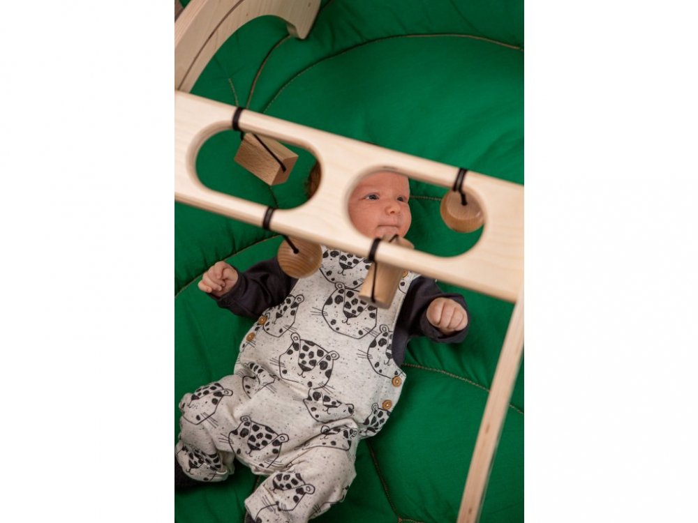 RePello 4-in-1 Toy - Chameleon