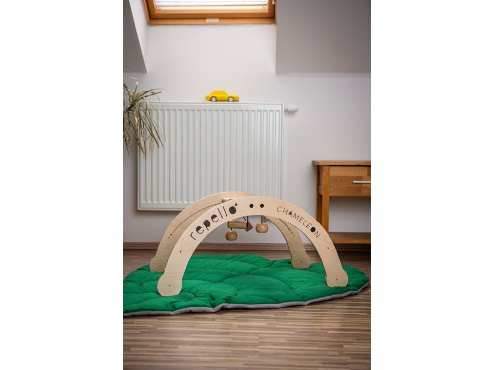 RePello 4-in-1 Toy - Chameleon