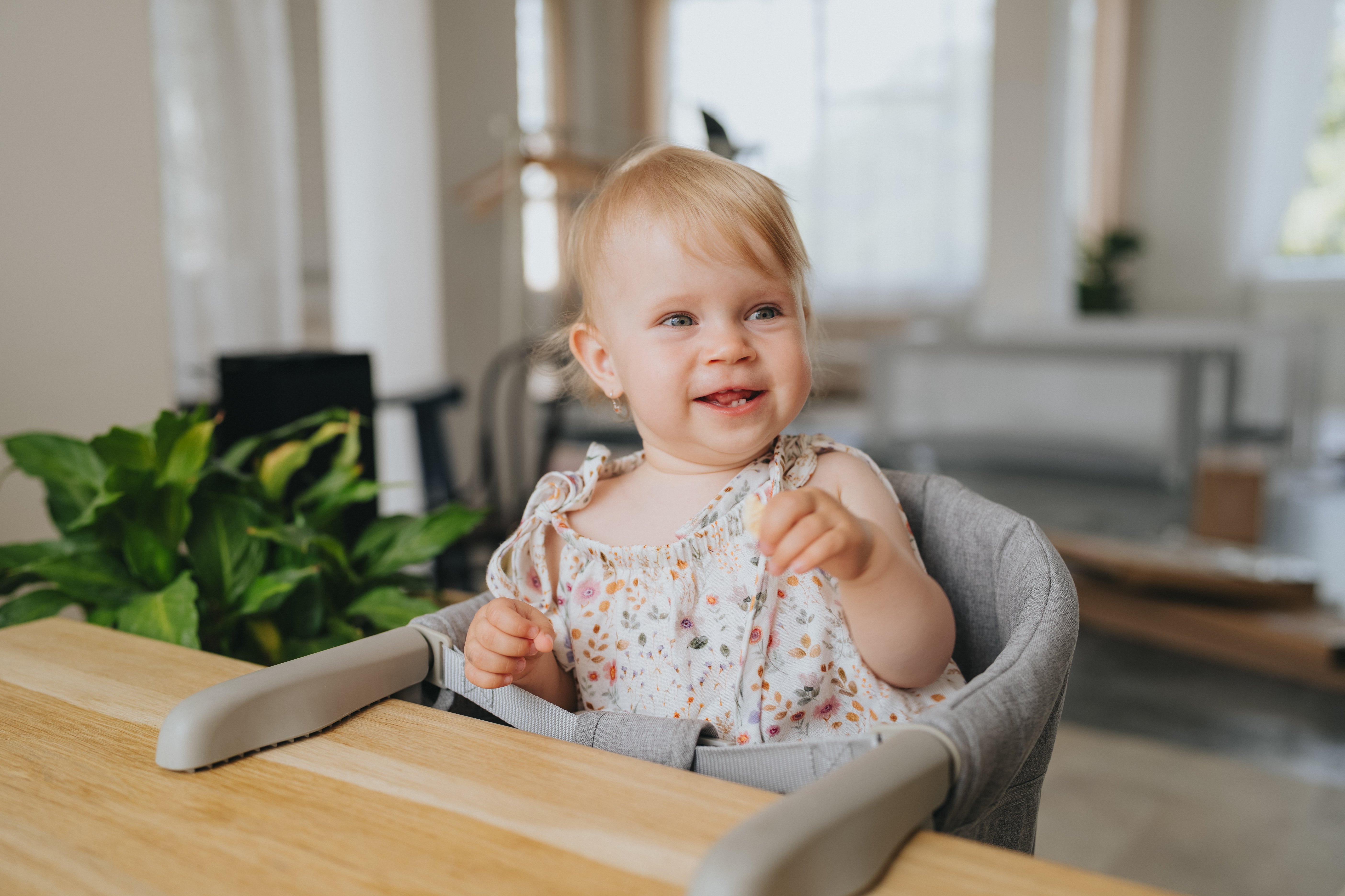 Travel high chair Monkey Mum® - gray - unpacked
